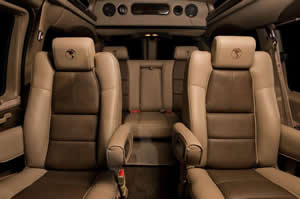 Antelope Tan / Steerhide