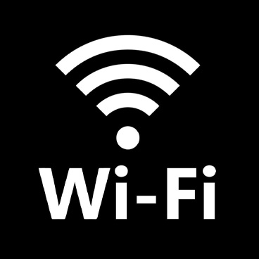 Built In Revgen WIFI Hot Spot